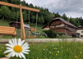 Гостиница Guest House Pr Ambružarju  Церклье